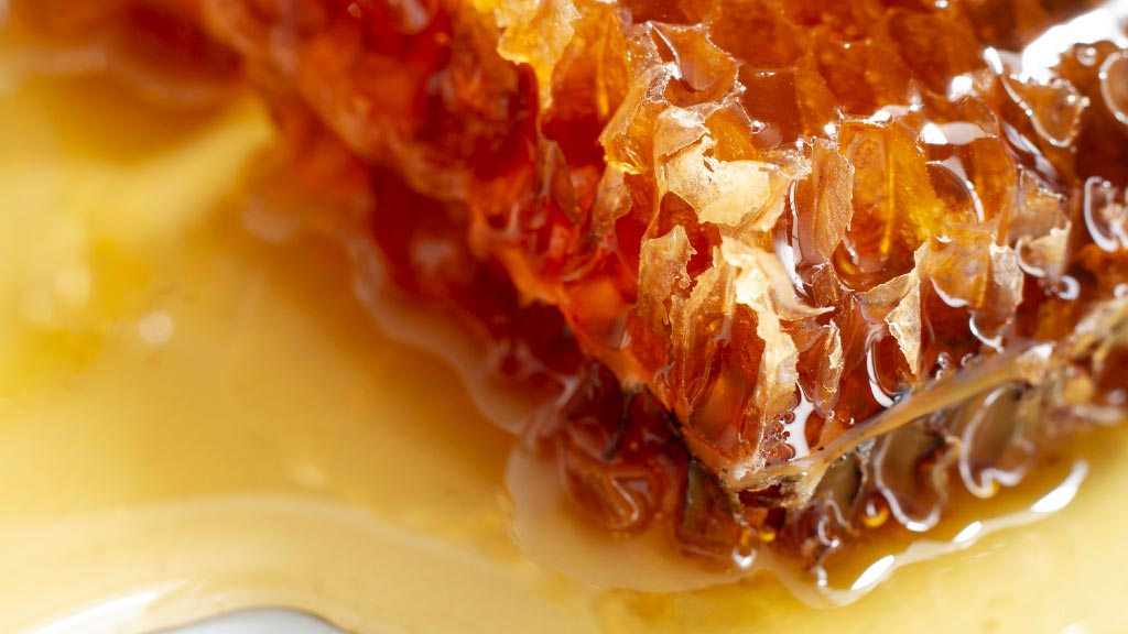 Matična mliječ Sarajevo: 6 stvari koje trebate znati